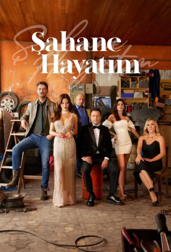Şahane Hayatım afişi