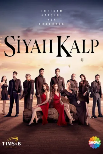 Siyah Kalp afişi